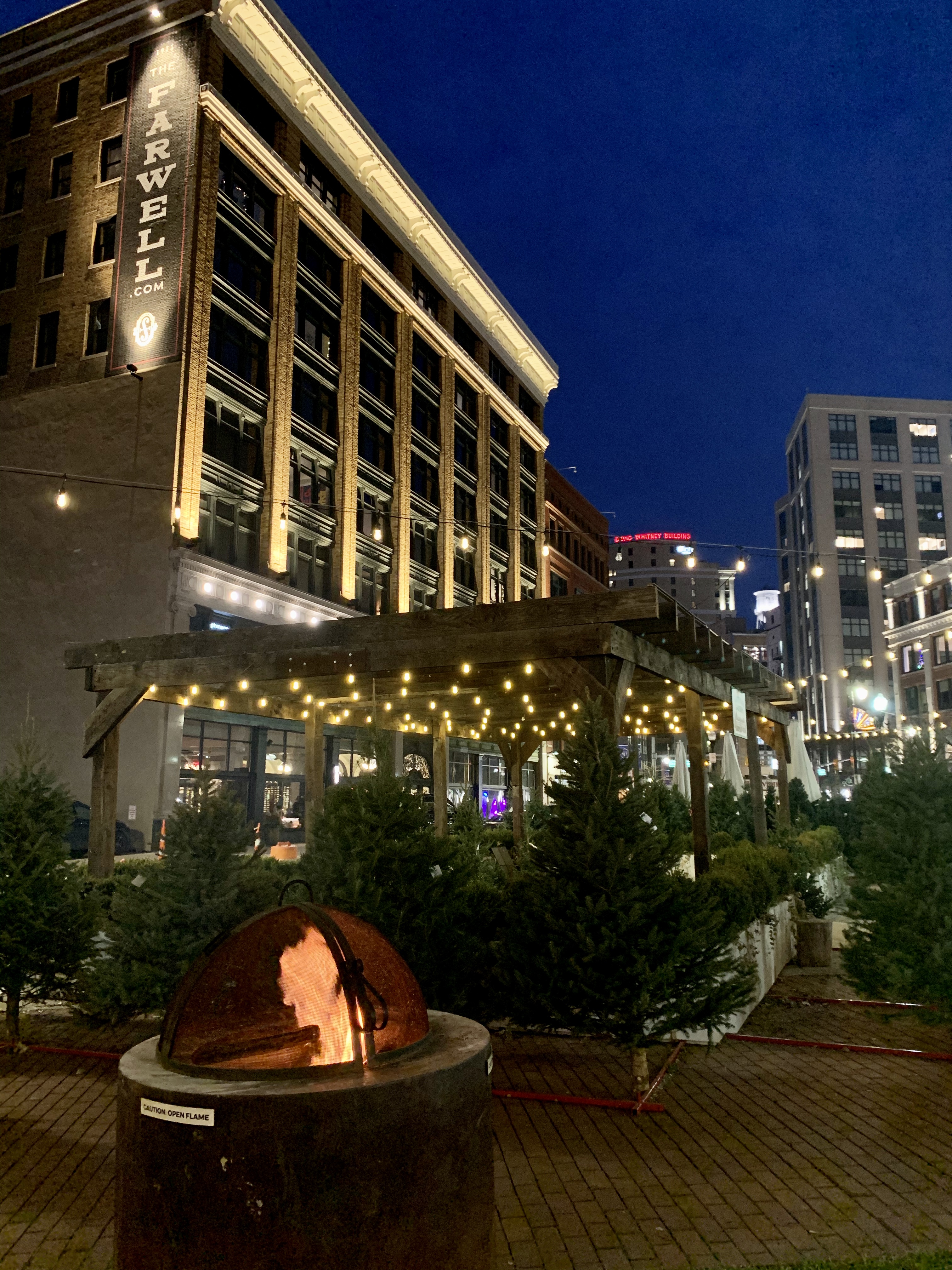 A Few New 2019 Restaurants